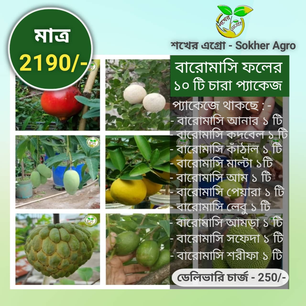 বারোমাসি ফল চারার প্যাকেজ