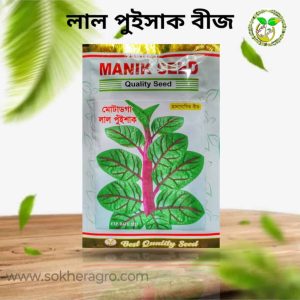 Lal puishak seed লাল পুইসাক মোটাডগা বীজ or lal Puisak Motadga bij