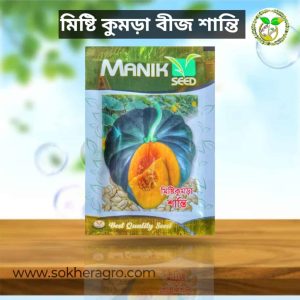 Misti kumra seeds বা মিষ্টি কুমড়া বীজ or Misti komra bij