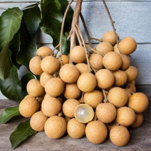 চাইনিজ লংগান চারা বা Chinese Longan tree or Chinese Longan